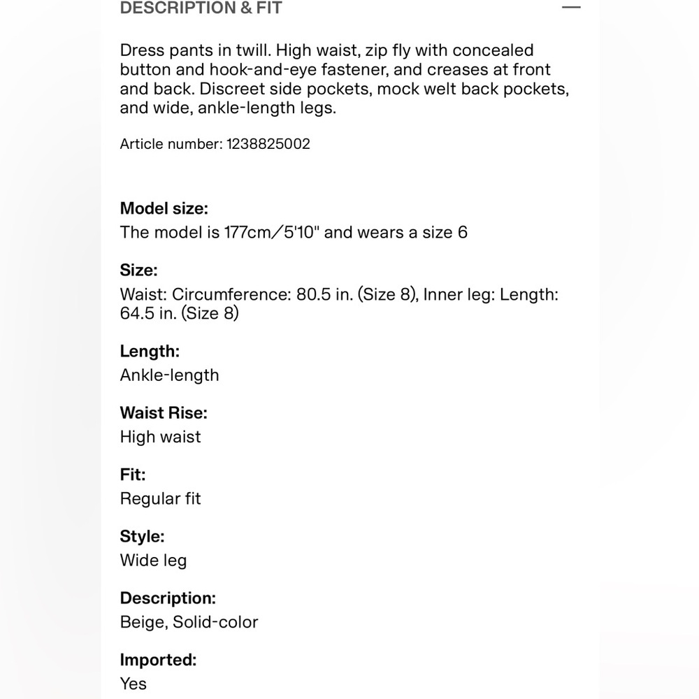 H&M Wide Leg Twill Pants - Picture 7 of 7